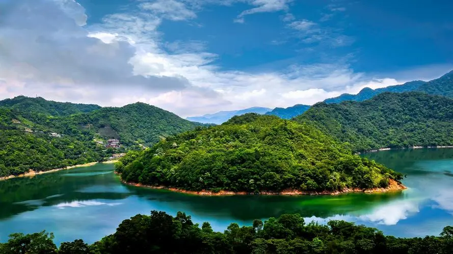 高效全自动高端